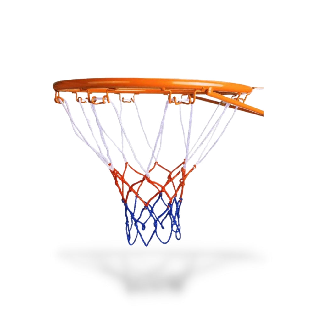 Panier de Basket Professionnel