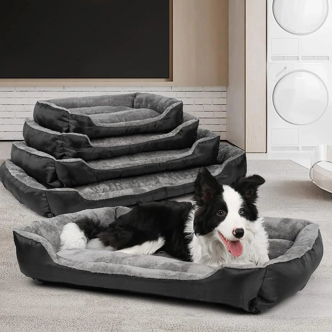 Panier Indestructible pour Chien
